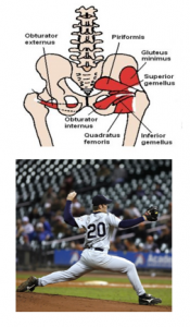 Baseball Player Core Muscles