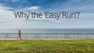 Why the Easy Run is Important