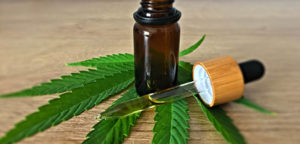 CBD Oil for Pain Relief - The Manual Touch Physical Therapy
